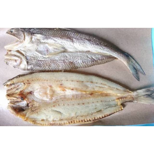 

Ikan Asin Gabus Laut 500g SUPER Tanpa Sisik khas Pangandaran toko bandar ikan asin jambal roti