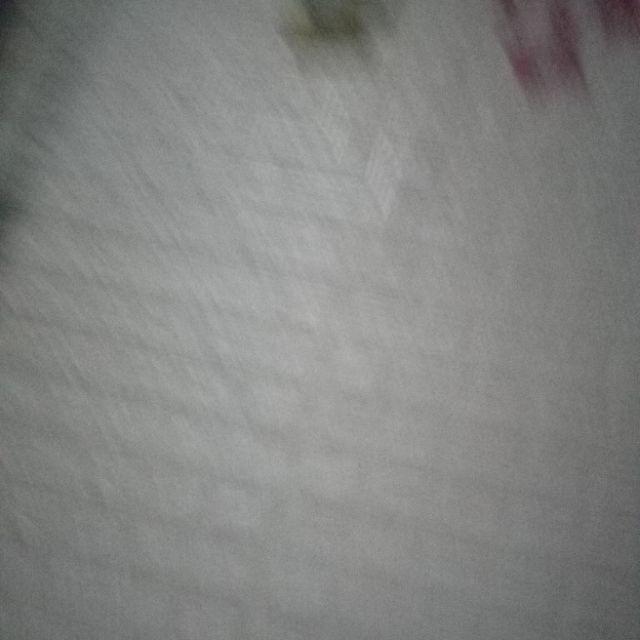 Kawat Bunga / Kawat Ranting 1pc