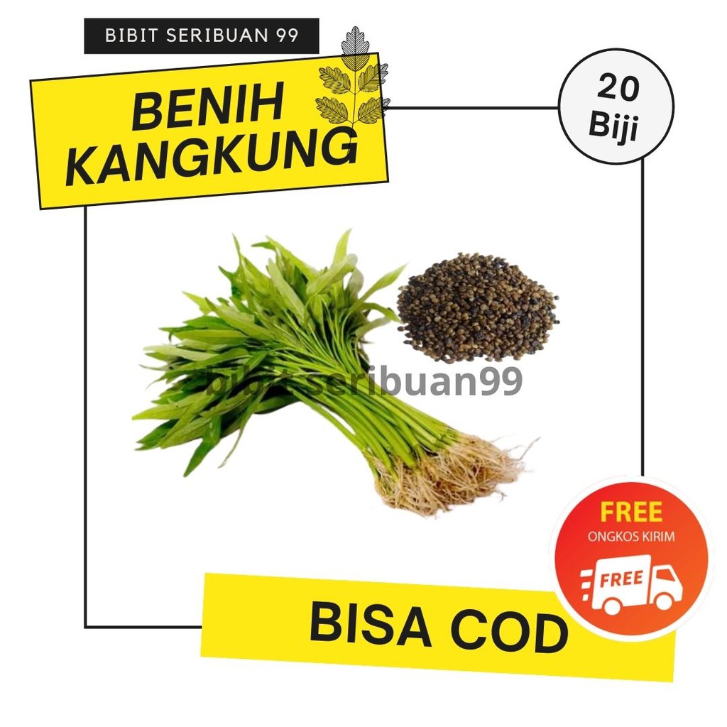 Benih Kangkung Bibit Kangkung Super
