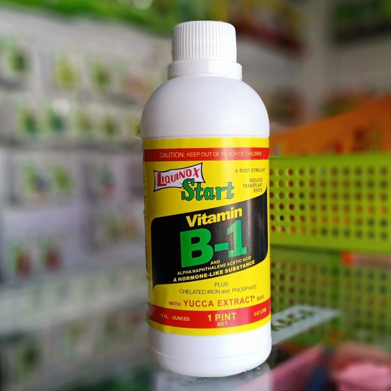 Liquinox Vitamin B1 isi 470 ml - vitamin B1 tanaman