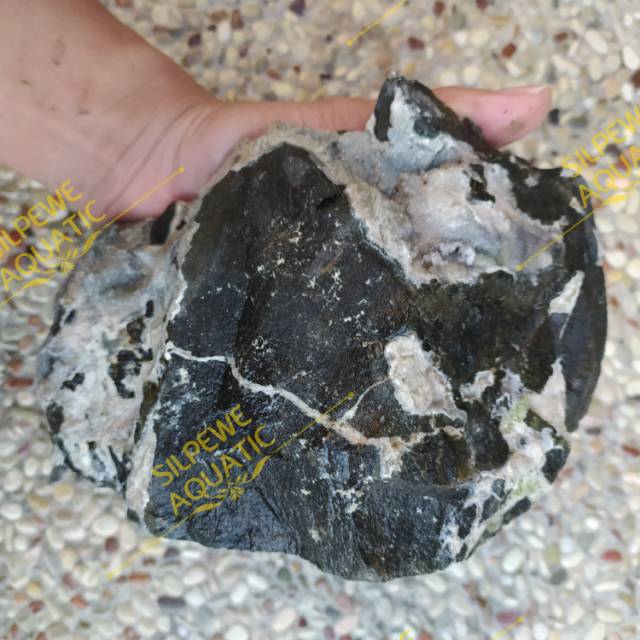 BISA COD | BATU SERPENTINE 1KG | TERLALU BAGUS UNTUK AQUASCAPE | PALUDARIUM |