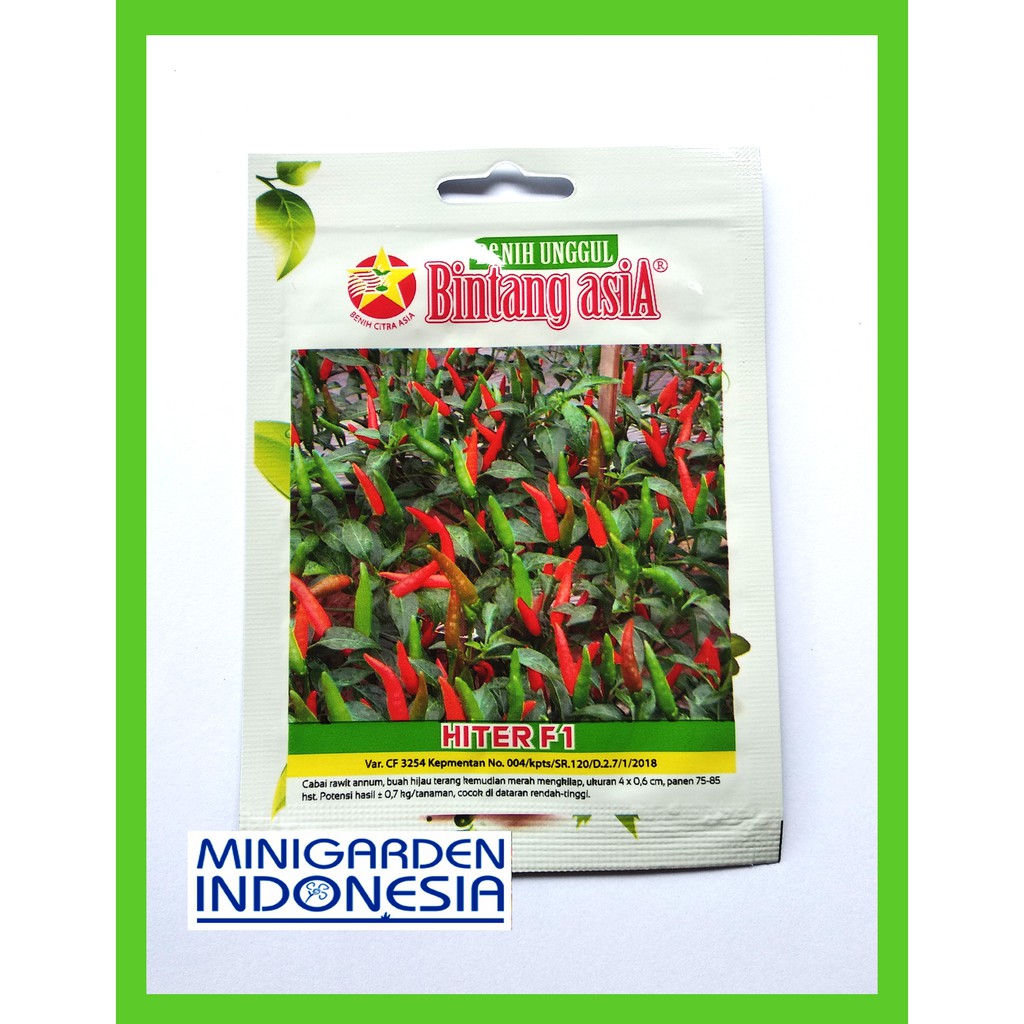 Pack 1 Gram Benih Cabe Cabai Rawit Hiter F1 Bintang Asia 