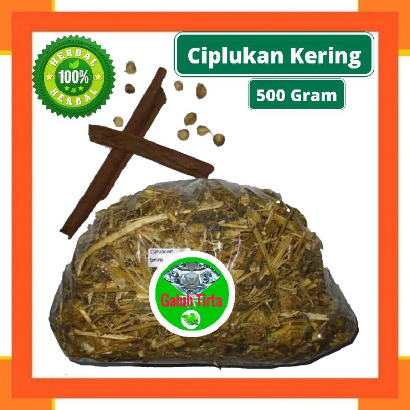 

CIPLUKAN CEPLUKAN KERING 500 GRAM - Physalis Angulata - MURNI