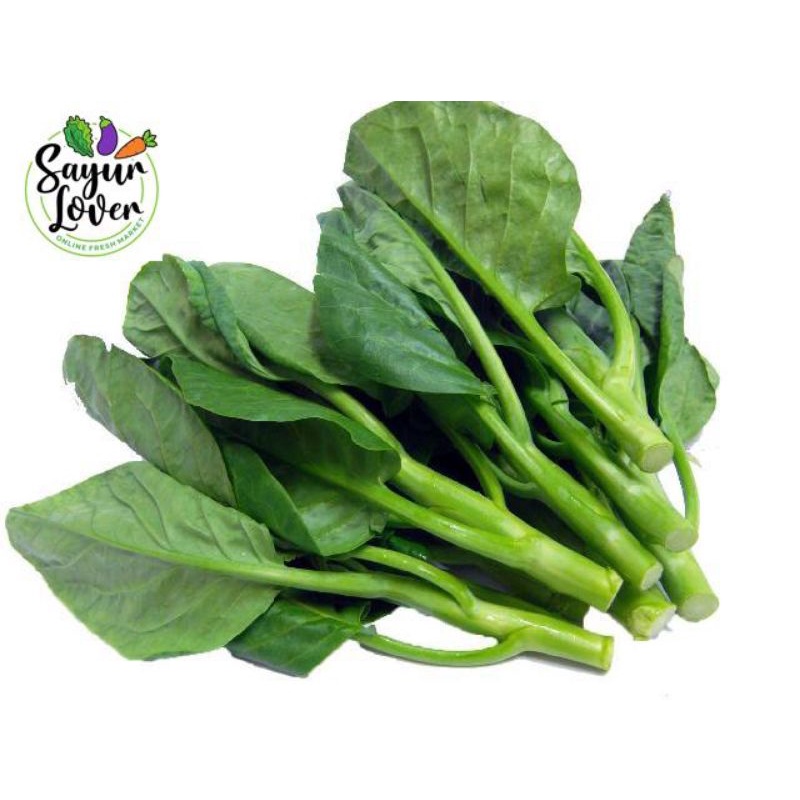

Kailan Premium 250gram sayurlover