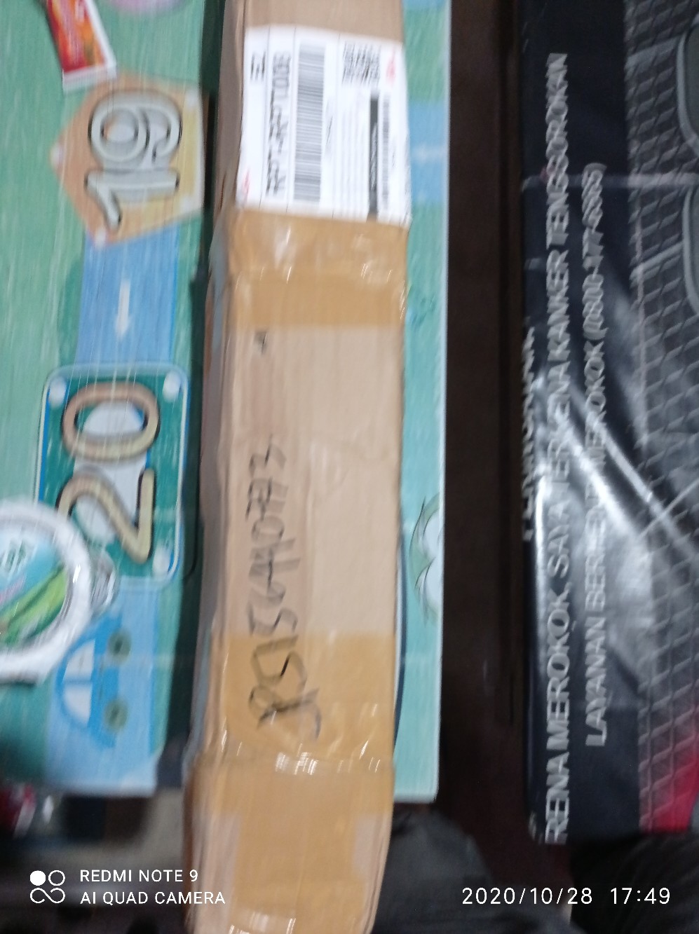 Bibit Anturium Jemani Mangkok Tornado