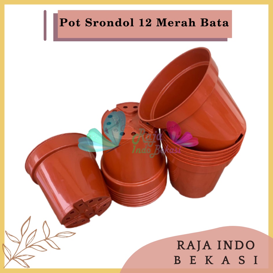 Pot Tinggi Srondol 12 Merah BataTerracota Terracotta Merah Coklat - Pot Tinggi Usa Eiffel Effiel 18 20 25 Lusinan Pot Tinggi Tirus 15 18 20 30 35 40 50 Cm Paket murah isi 1 lusin pot bunga plastik lusinan pot tanaman Pot Bibit Besar Mini Kecil Pot Srondol