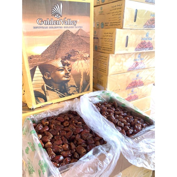 

KURMA GOLDEN VALEY 10KG produksi 2026