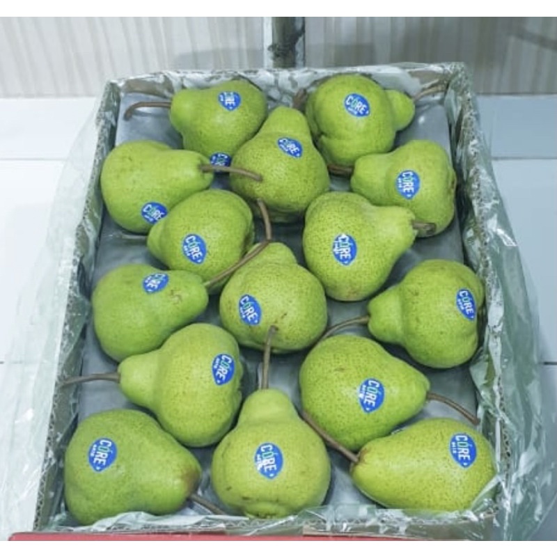

Pear Packam Pir Hijau Jambu [ 3 pcs ]