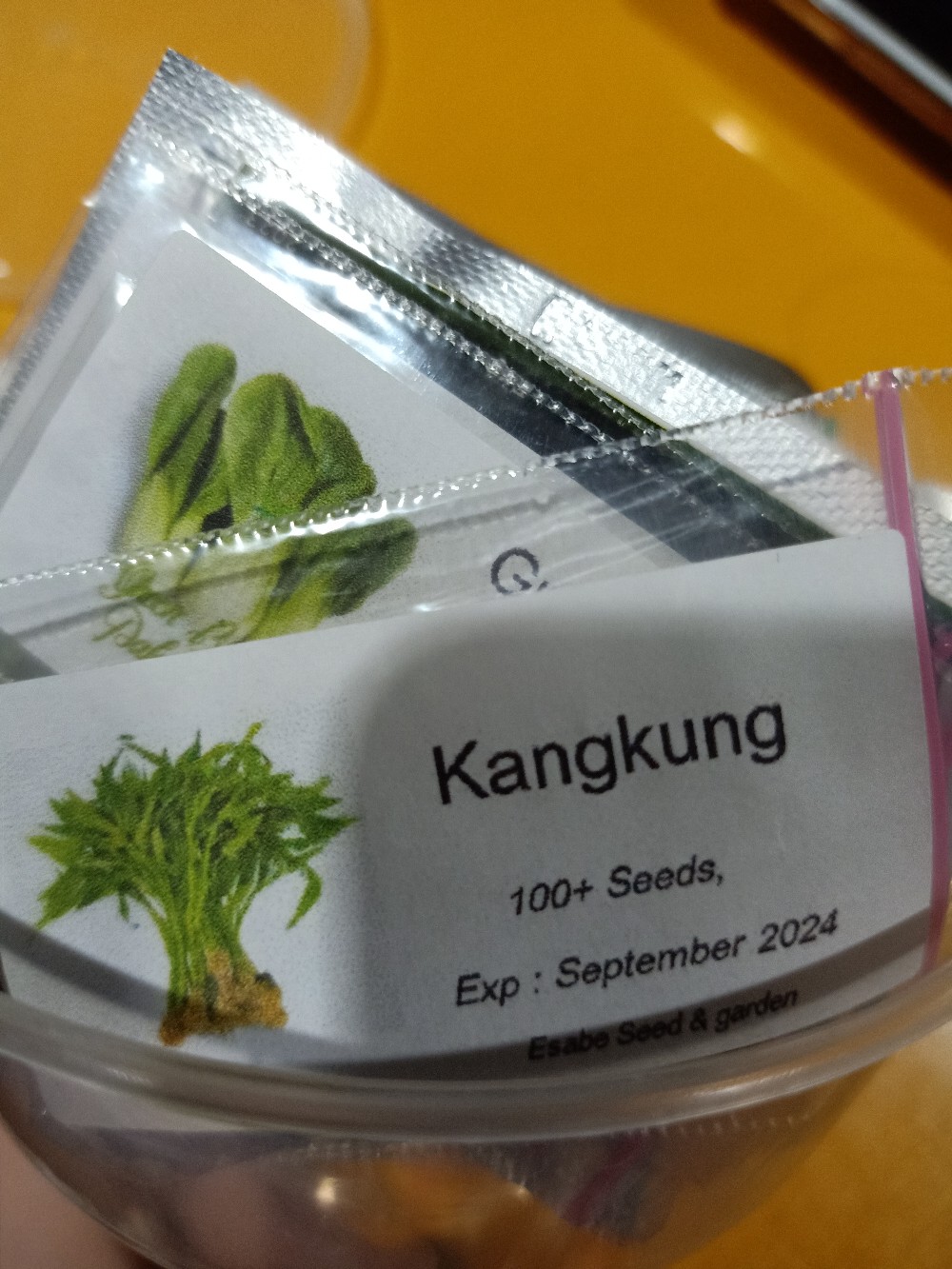 Benih Biji Selada Merah Red Lettuce