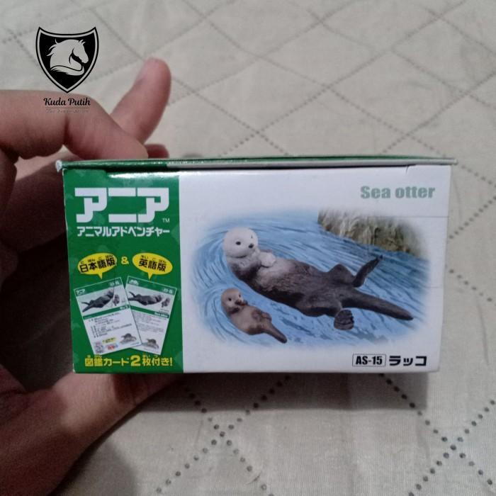 Berang Berang Berang-Berang Sea Otter Anak Ania Mainan Hewan Lucu Dam