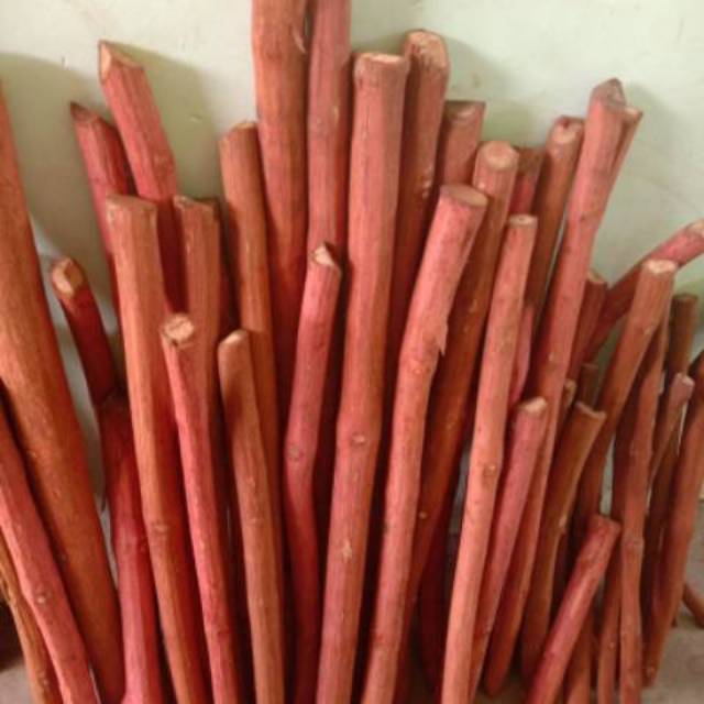 

Akar Bajakah Merah