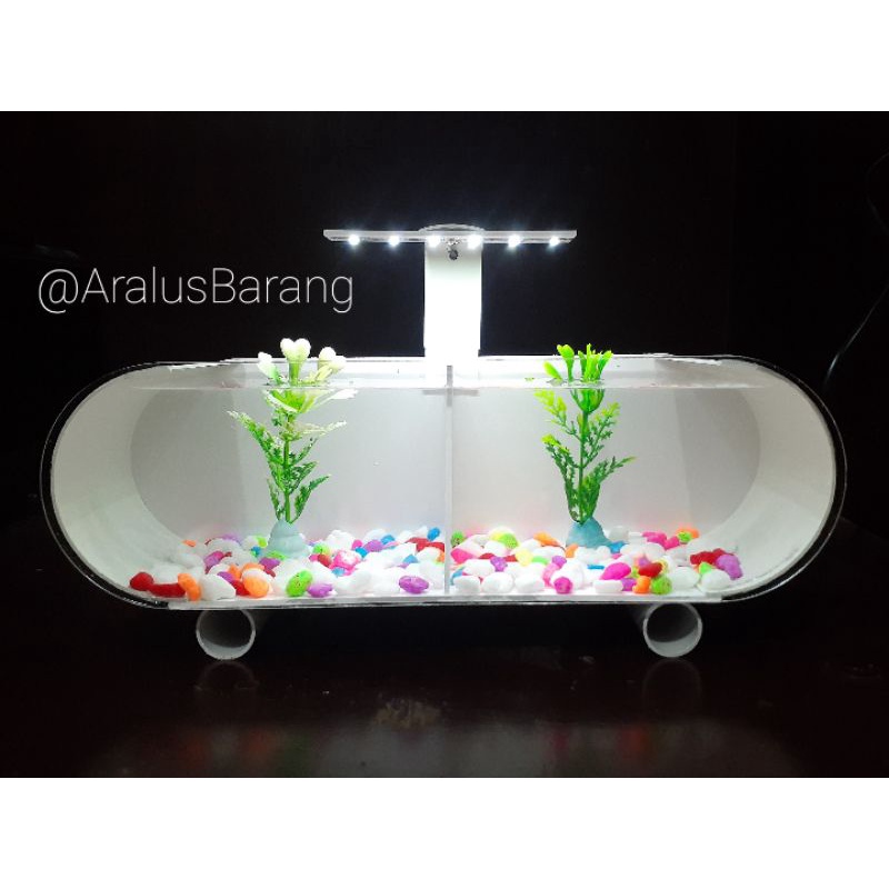 Aquarium Mini Plus Skat / Aquarium / Aquarium Mini / Aquarium Cupang / Aquarium Kaca / Aquarium Ikan Hias / Akuarium / Akuarium Mini / Akuarium Cupang / Akuarium Kaca / Akuarium Ikan Hias