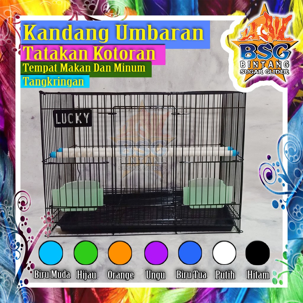 Umbaran KC Kandang Burung - Sugar Glider - Kucing - Kelinci - Tupai - Landak Mini - Rumah Hewan-1