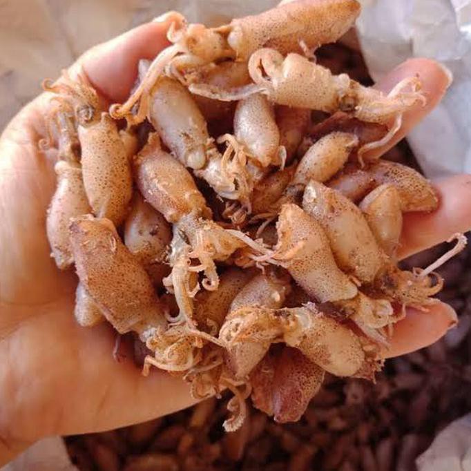 

Ikan asin baby cumi