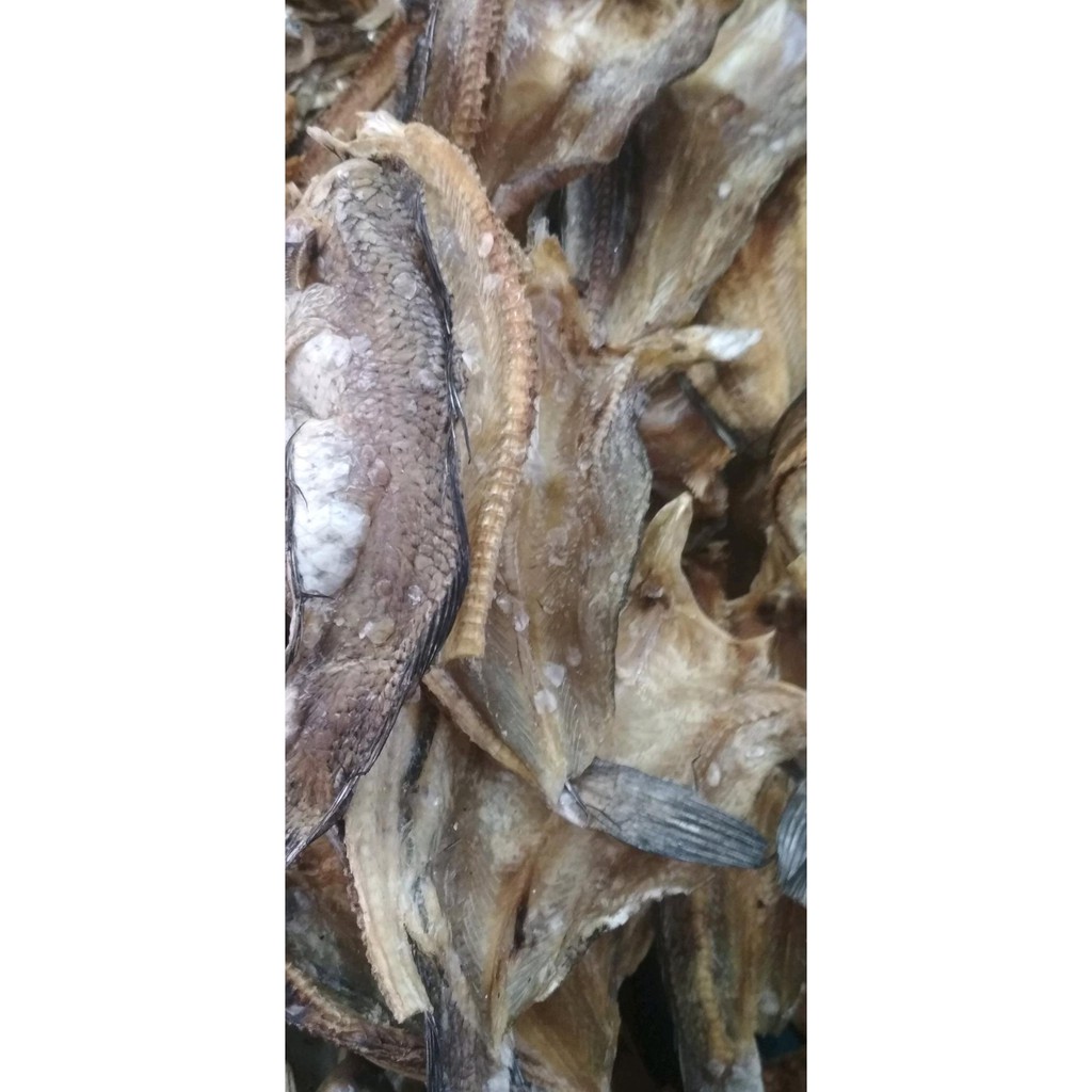 

Lezat Alami Ikan Siam Dendeng Atau Maco Siam Bukittinggi