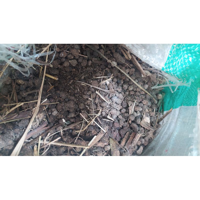 pupuk kotoran kelinci