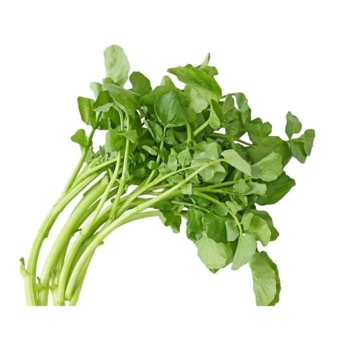 

Selada Air Sayur [1ikat]