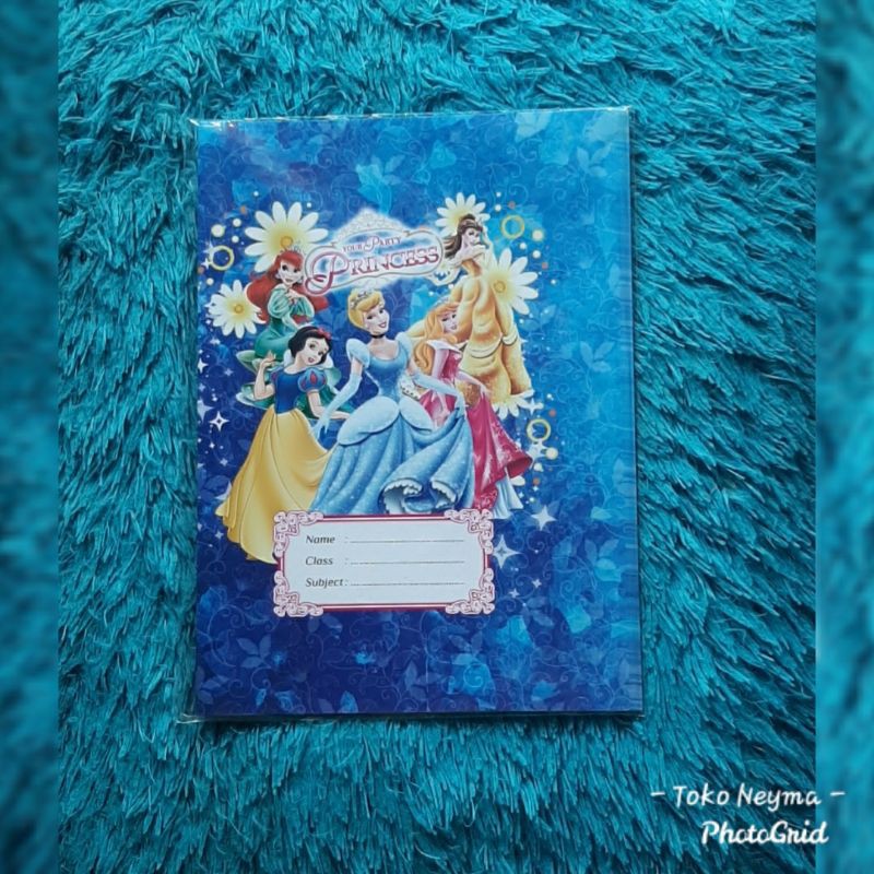 

Sampul buku karakter princess