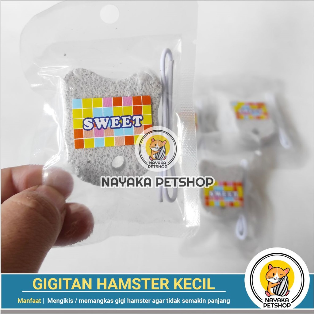 Gigitan Hamster Kecil Gnawing Stone Batu Mineral Asah Gigi Hamster Dental Care