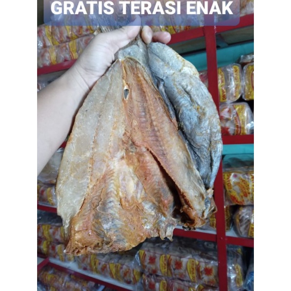 

ikan asin jambal roti super 1kg ASLI cirebon GRATIS terasi ENAK