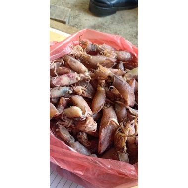 

Remaja Cumi 500 gram