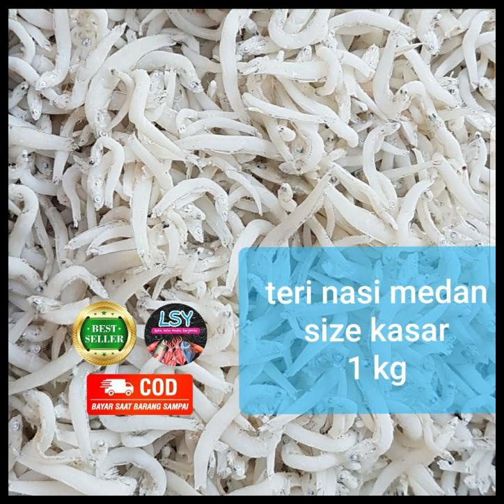

DISKON TERBATAS !!! IKAN ASIN TERI NASI MEDAN / TN PUTIH / SIZE JUMBO 1KG TERLARIS