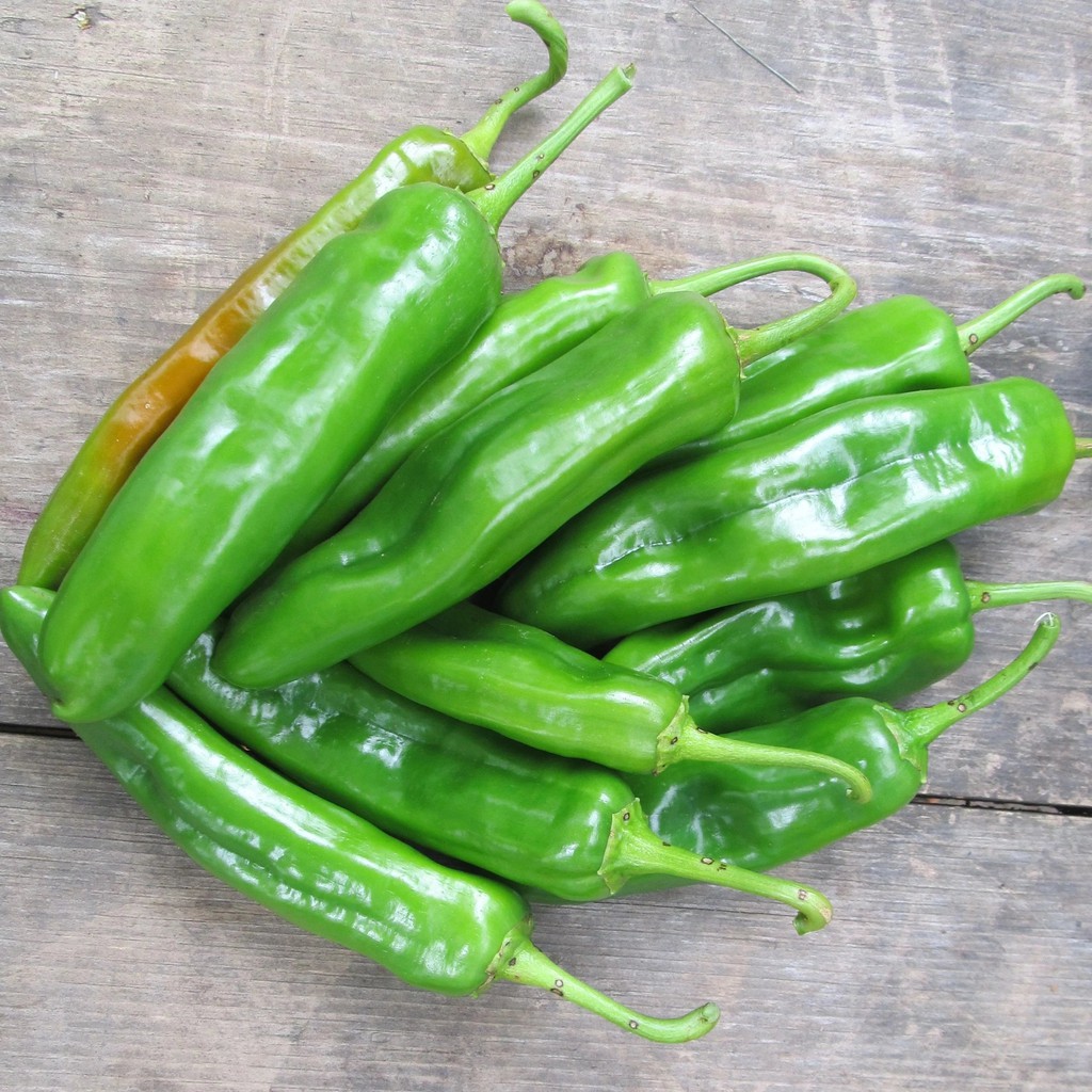 Benih Bibit Biji - Cabai Anaheim Hot Pepper Cabai Jumbo Hijau Seeds