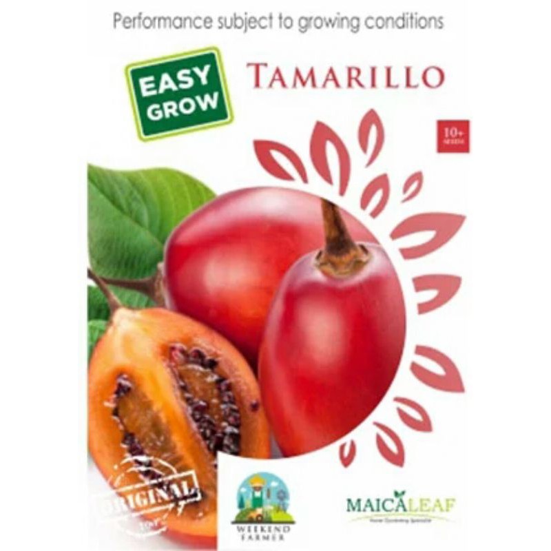 

TAMARILLO isi 10 biji