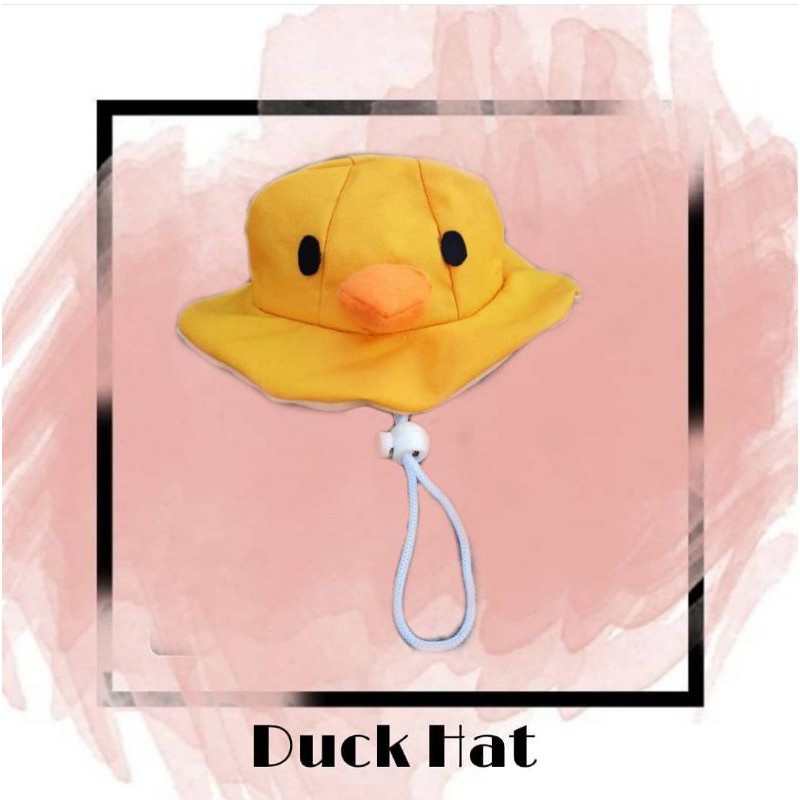 Topi Anjing Kucing Bentuk Bebek Shopee Indonesia