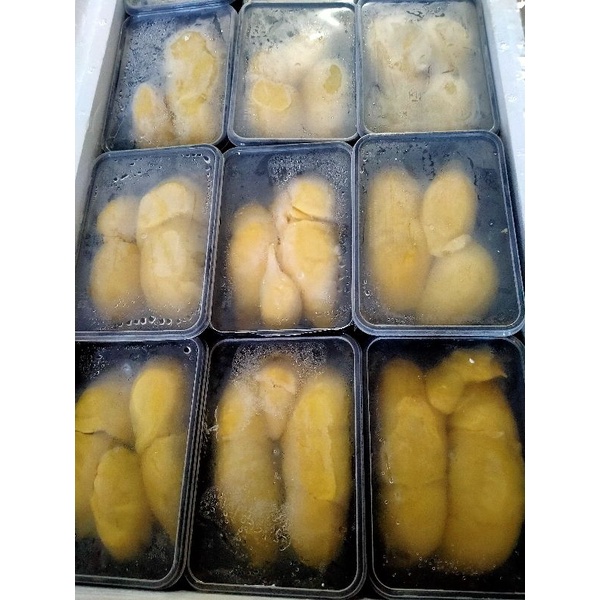 MONTONG PALU/DURIAN PALU PREMIUM/MONTONG PARIGI