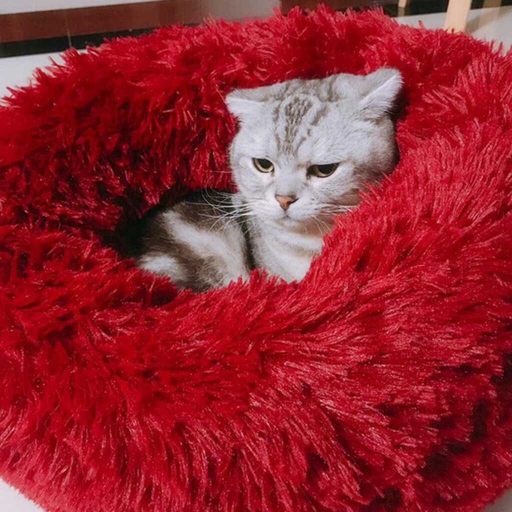 Harga Bantal Kucing Aksesoris Hewan Terbaru November 2021  BigGo 