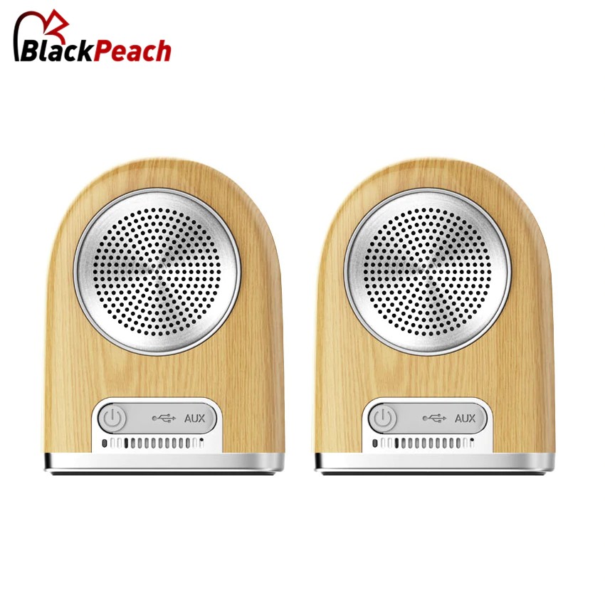 dual outdoor speakers