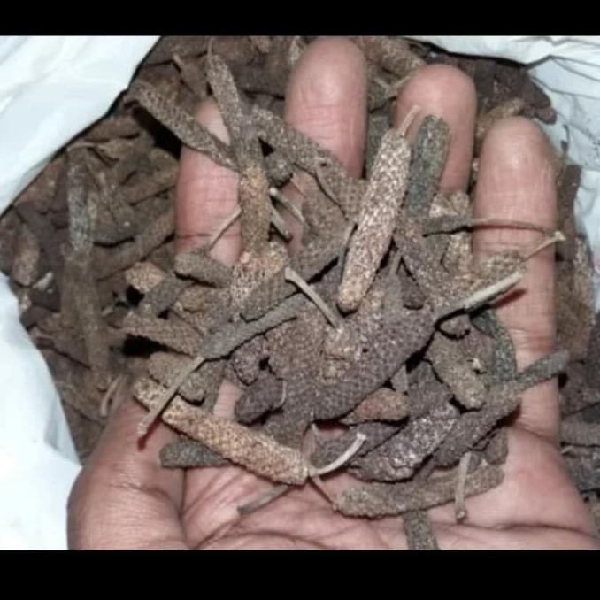 

Cabe Jawa Kering / Obat Herbal Alami (250gr)