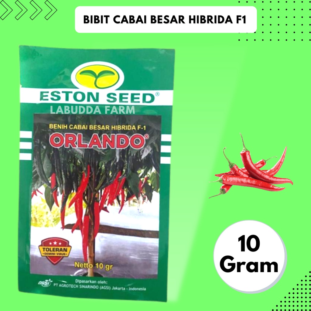 Bibit Cabe Merah Besar - Cabe Besar Orlando F1 10gr Tahan Virus Original Pabrik Eston Seed - Benih C