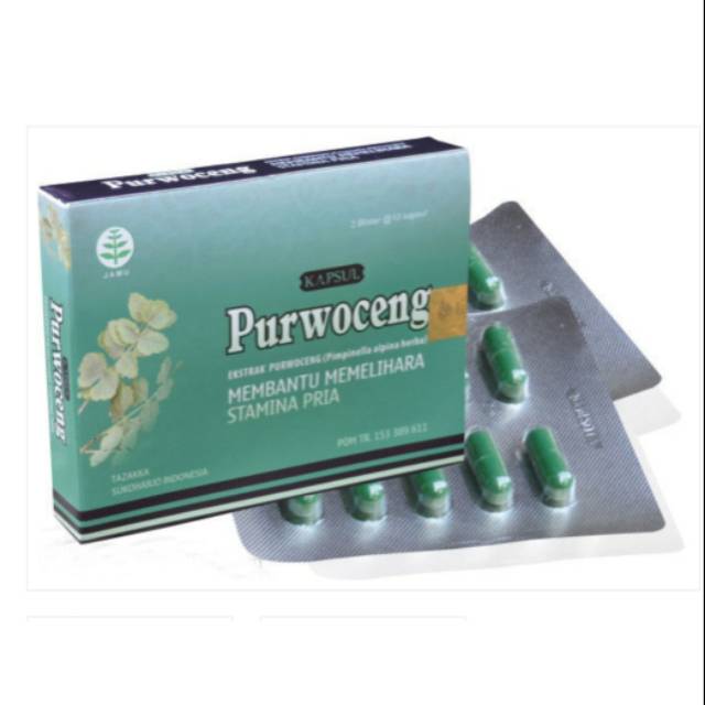 Obat Herbal Khasiat Ampuh Untuk Stamina Pria Dengan Kapsul Blister Purwoceng Sudah BPOM Kapsul Purwo
