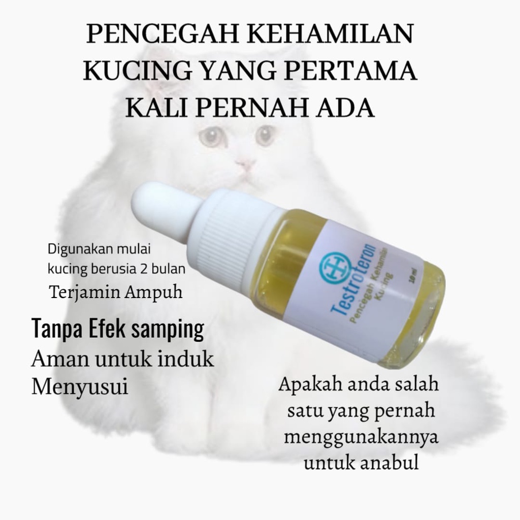 Kb kucing anti kehamilan dan birahi anabul