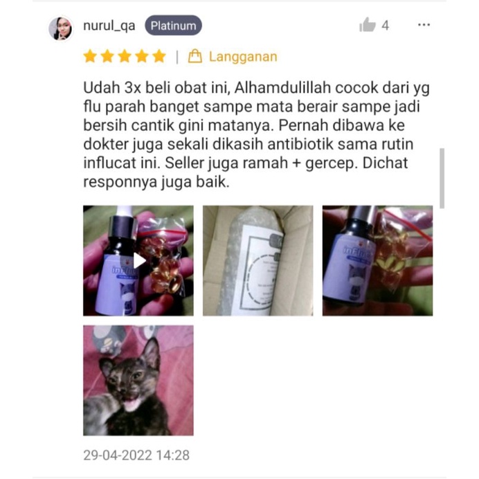 [D21] INFLUCAT Obat Flu Batuk Kucing Demam Pilek Flucat Doxy Cat Coldy Cat Flu Cat Flu Kucing Ampuh Image 4