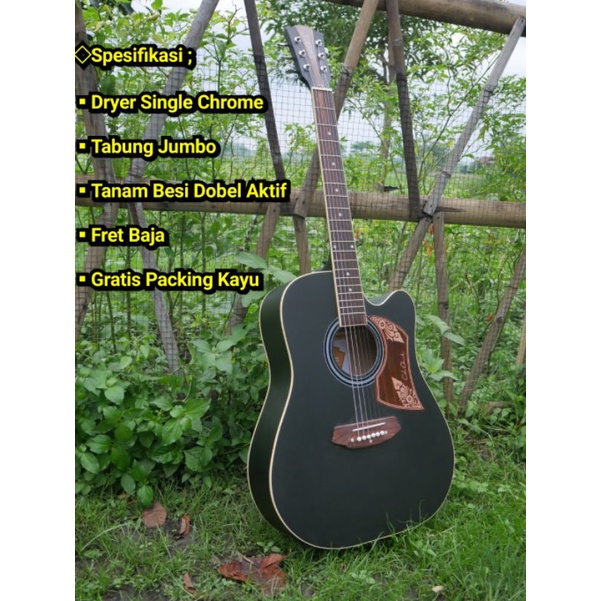 Gitar Akustik Cole Clark Custom Tanam Besi Gratis Packing Kayu