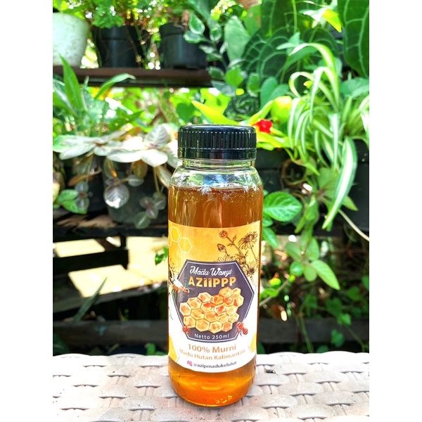 

Madu Apis Multiflora 330 gram / apis dorsata / madu wanyi