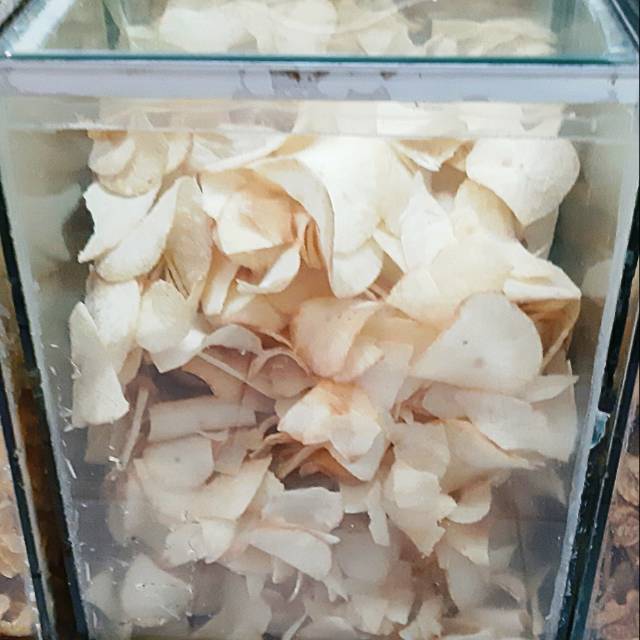 

Keripik Singkong Manis - Snack Curah Kiloan