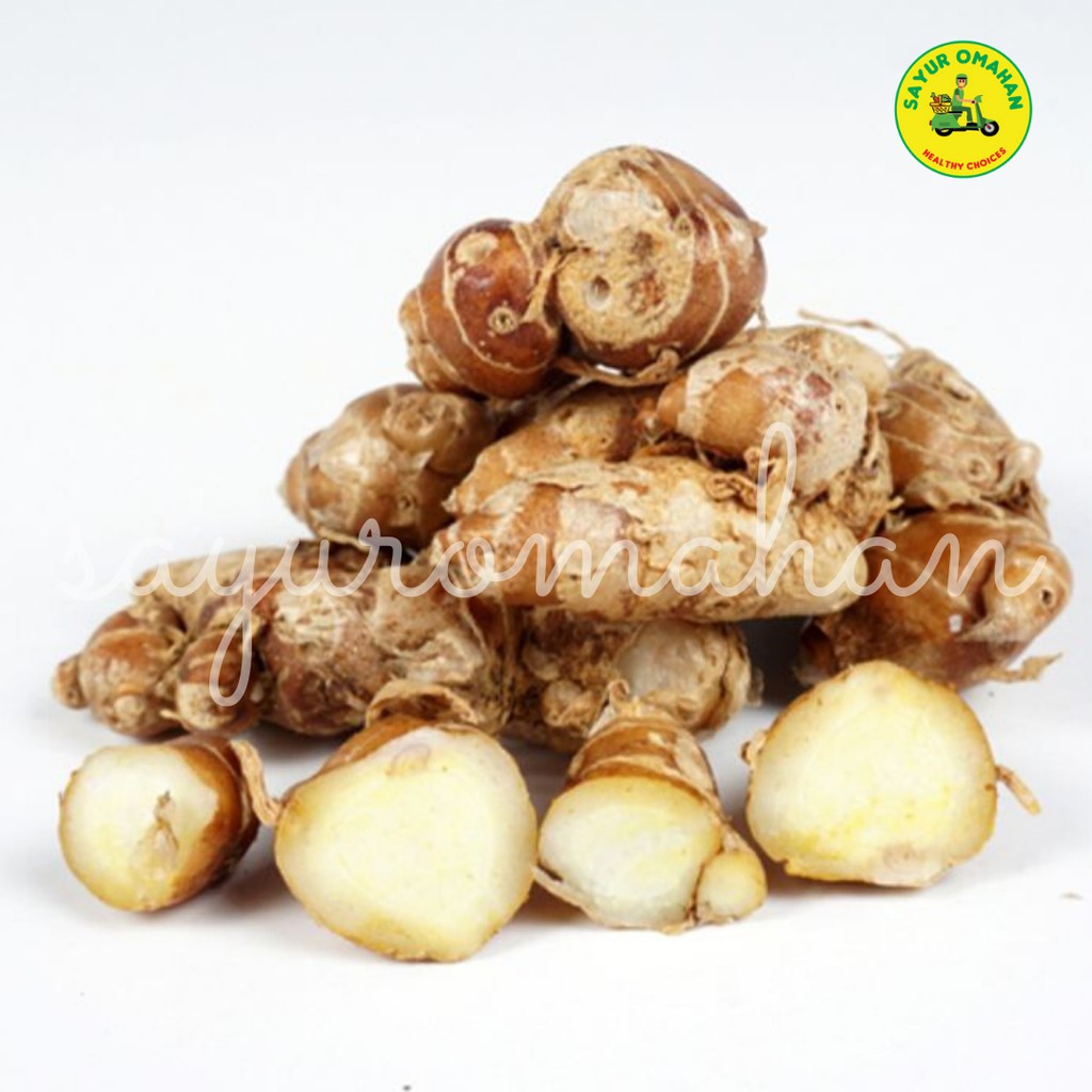 

Kencur - Bumbu Dapur