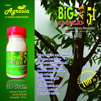 BiG-R Gold 51 - Inokulan Gubal Gaharu Super - 20 gram