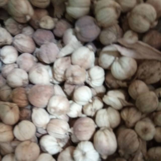 

1 kilo kapulaga kapolaga kering super lokal