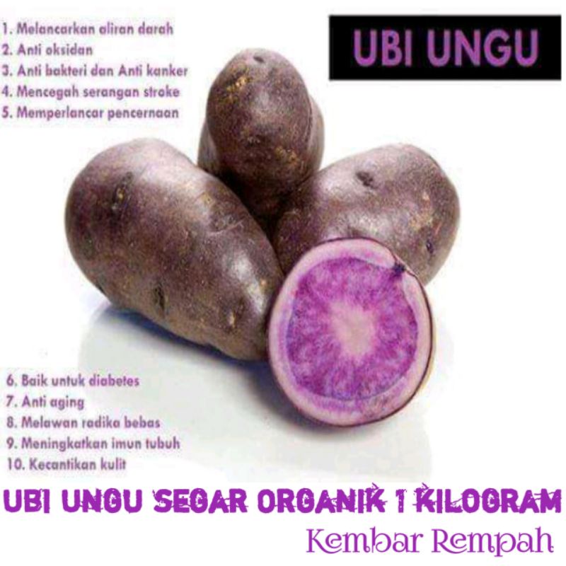 

Ubi ungu organik 1kg