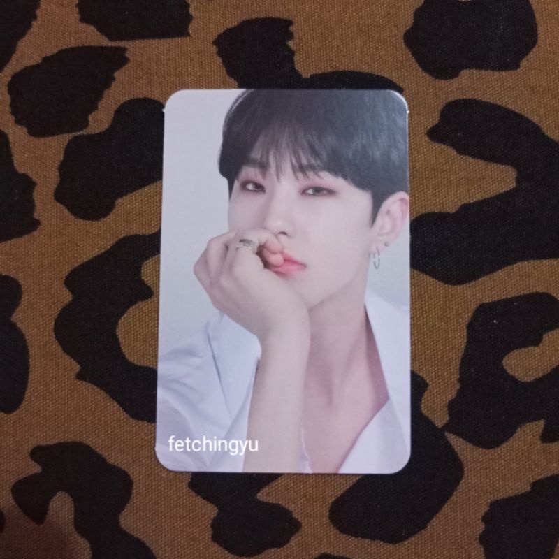 Photocard pc hoshi ao+ seventeen