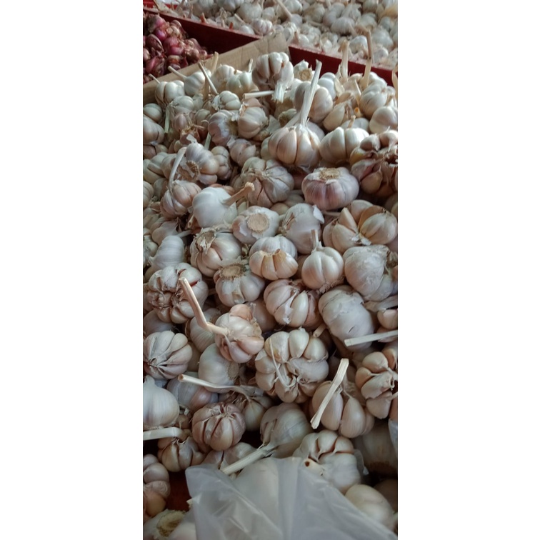 

Bawang Putih Baput 250gr seperapat