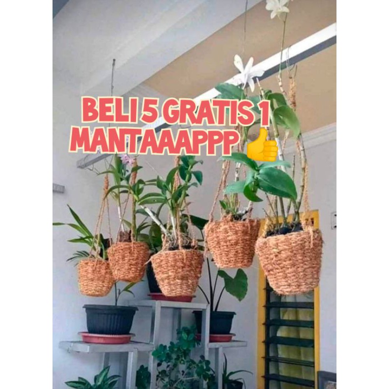 Pot Anggrek Sabut Kelapa Pot Tempel Serabut Kelapa Pot Tanaman Bunga Anggrek Pot gantung tanaman Hia