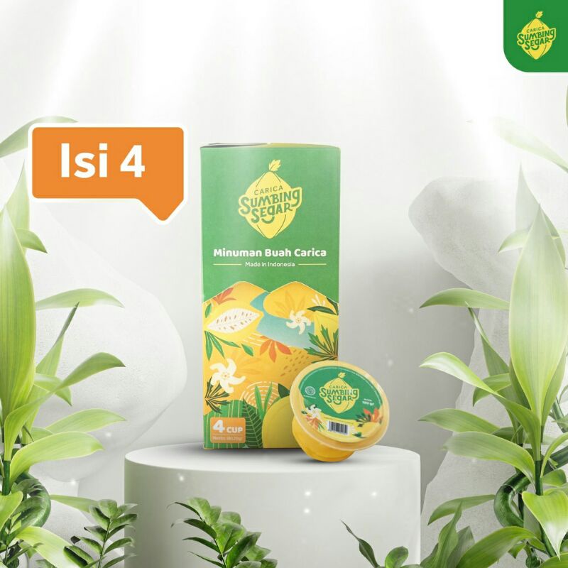 Manisan Buah Carica Sumbing Segar Kemasan Box Isi 4 Cups