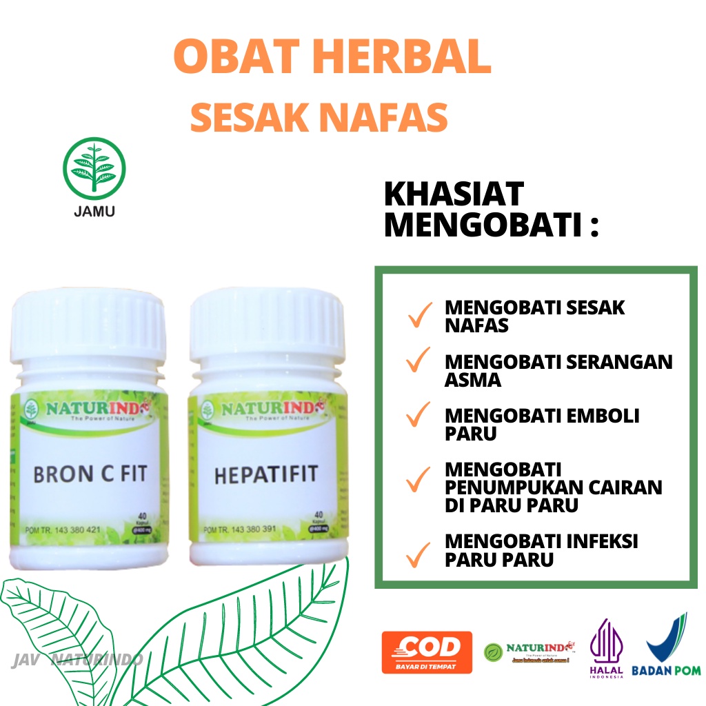 Obat Sesak Nafas Susah Nafas Anak Dewasa Infeksi Paru Kanker Paru Paru Herbal Ampuh