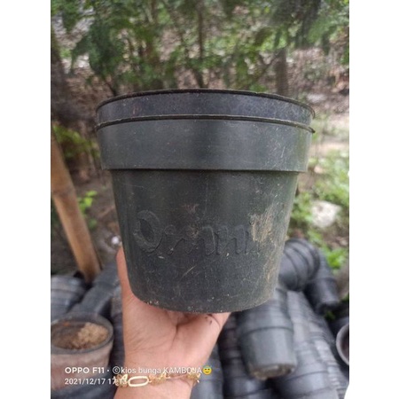 POT Bekas UKURAN 15